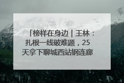 榜样在身边｜王林：扎根一线破难题，25天拿下聊城西站钢连廊“硬核”工程